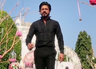 shahrukh-khan-arrives-to-shoot-dilwale-climax-scene-201512-636853-321x229.jpg