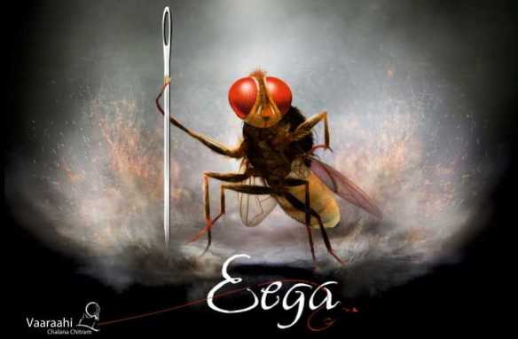 Image result for eega