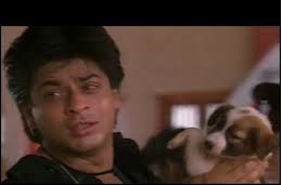 Chaahat puppy.jpg