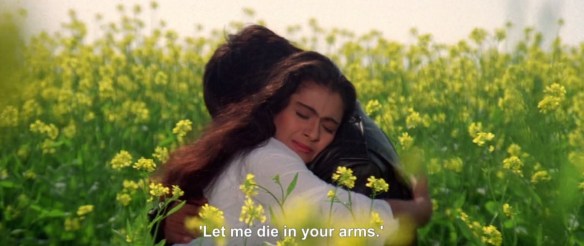 DDLJ141