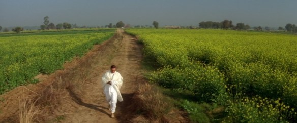 DDLJ242