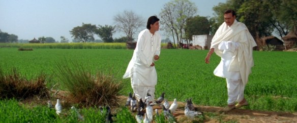 DDLJ246