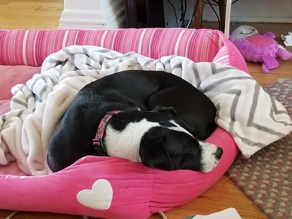 20180707_093104.jpg
